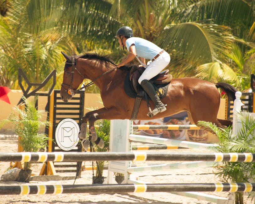 Sattel Pad 🐴: Der ultimative Ratgeber für Pferdebesitzer